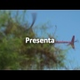 The Best 2014 Mexican 1000 Desert Race Videos & Official Results